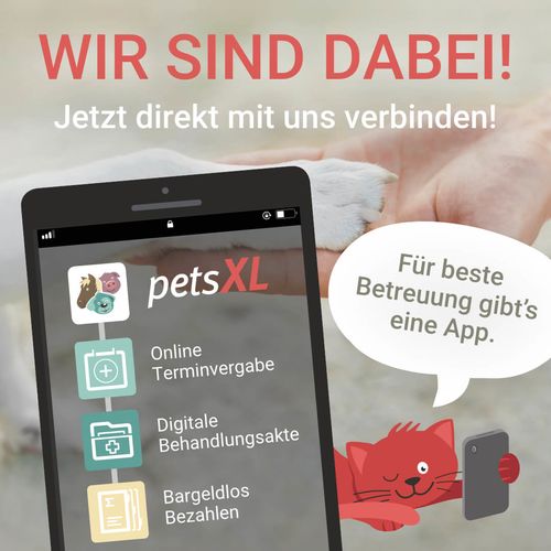 Infos zu petsXL ansehen